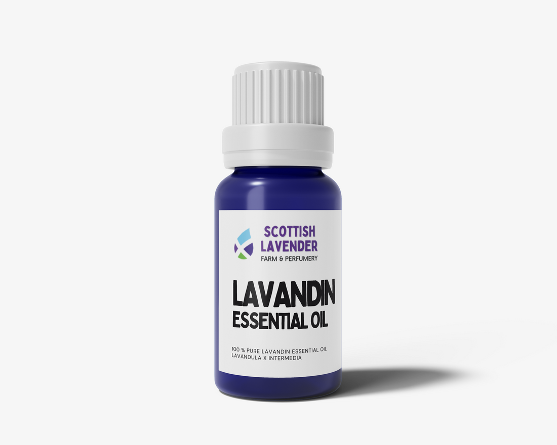 Lavandin Essential Oil - 10ml
