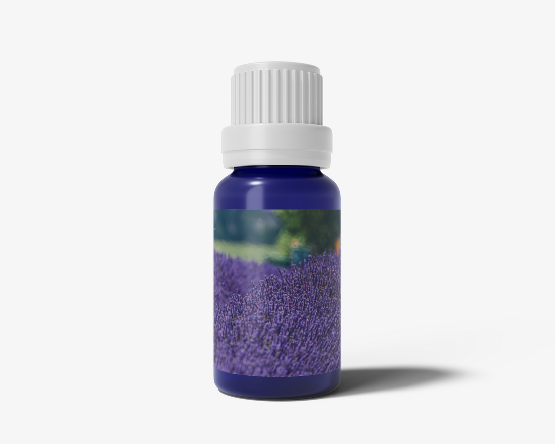 Lavandin Essential Oil - 10ml