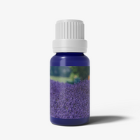 Lavandin Essential Oil - 10ml