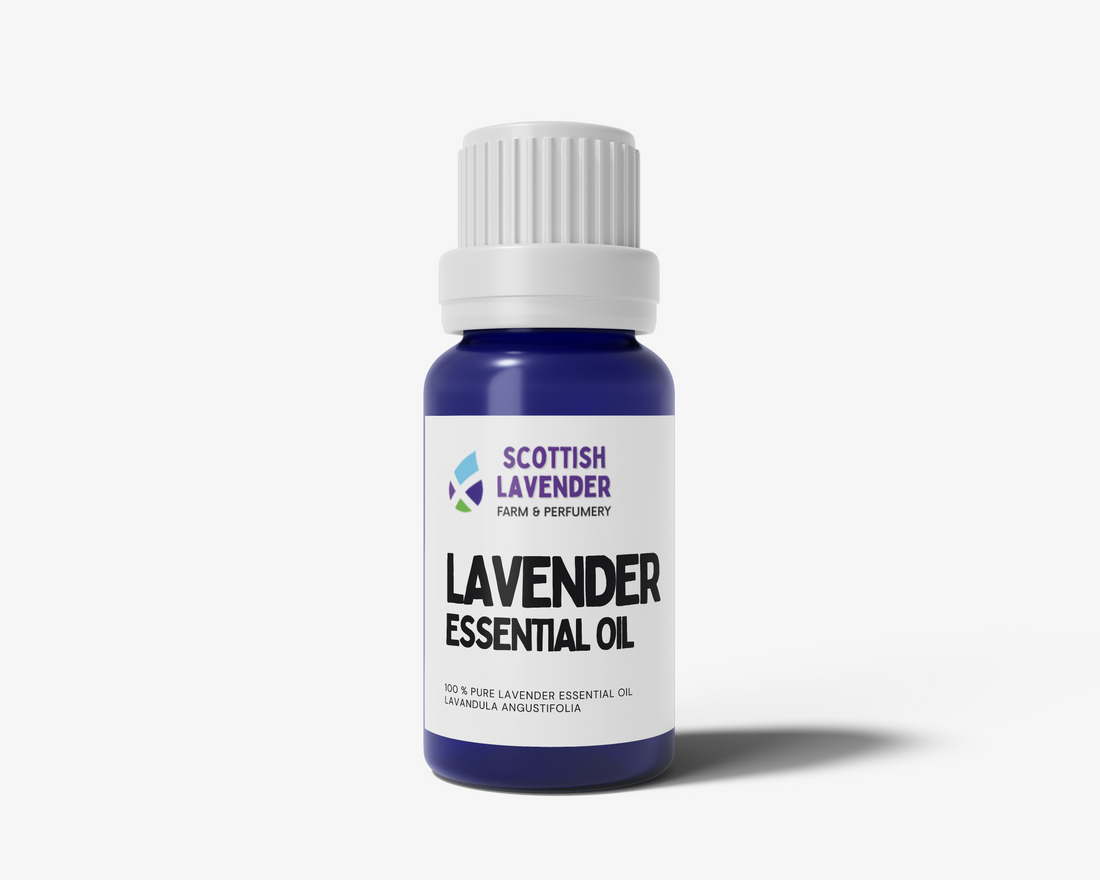 Lavender Essential Oil - 10ml