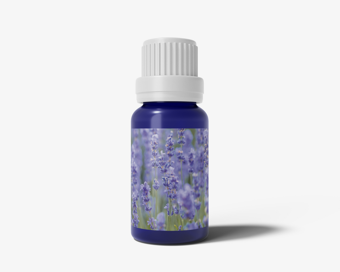 Lavender Essential Oil - 10ml