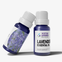 Lavender Essential Oil - 10ml