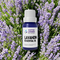Lavandin Essential Oil - 10ml