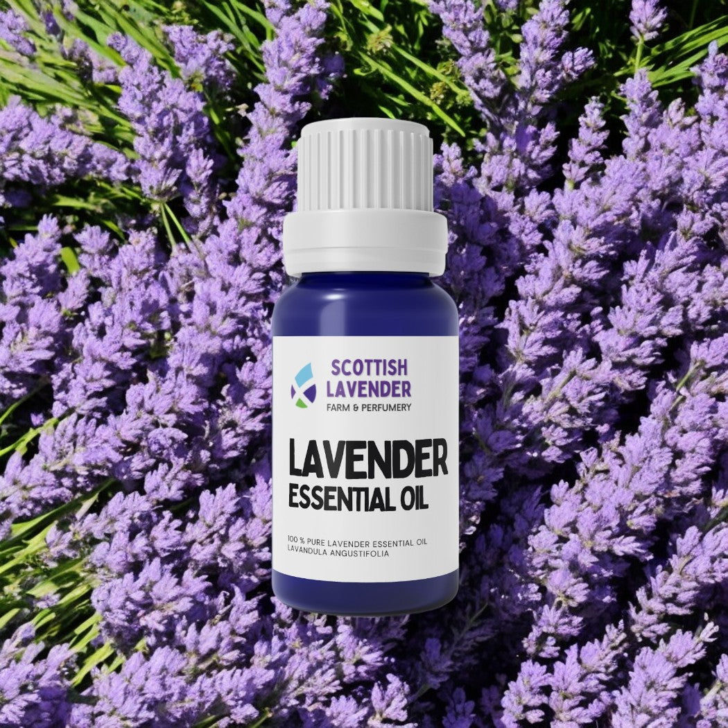 Lavender Essential Oil - 10ml