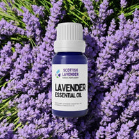 Lavender Essential Oil - 10ml