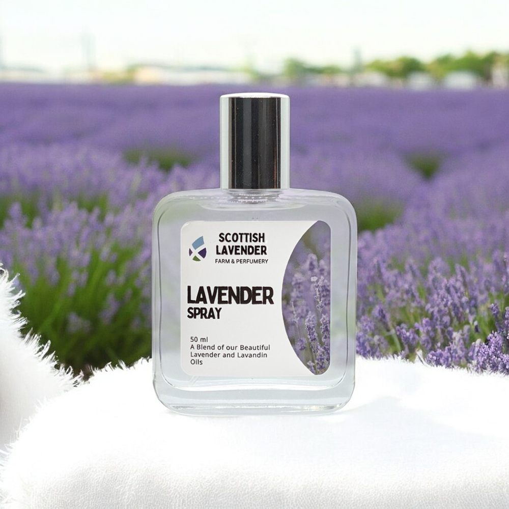 Scottish Lavender Spray