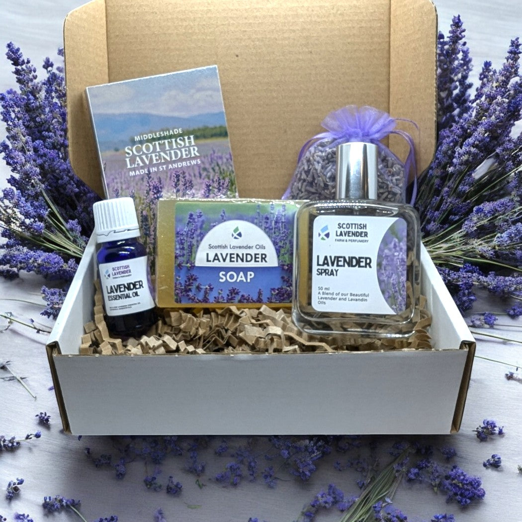 Lavender Gift Box - Scottish Lavender Collection