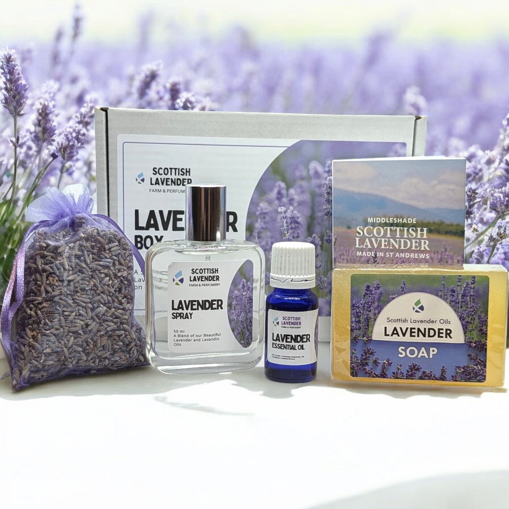 Lavender Gift Box - Scottish Lavender Collection