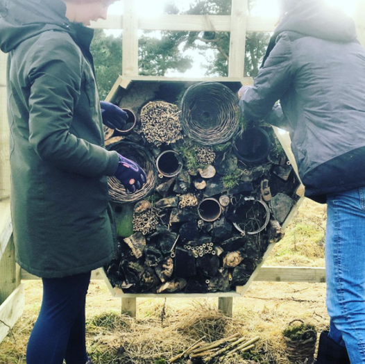 Adding the finishing touches to our bug hotel.