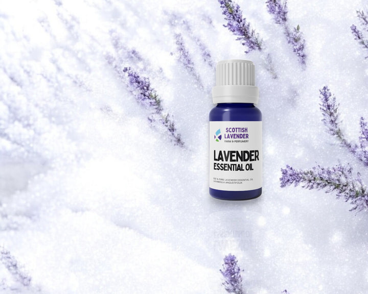 Lavender in Winter: Creating a Winter Wonderland