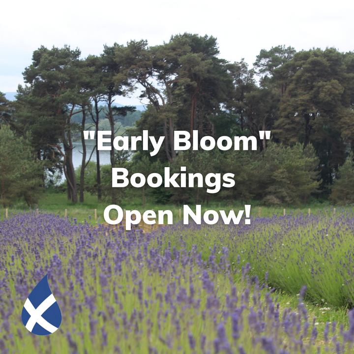 We're Open!