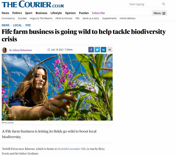 Ecological Work