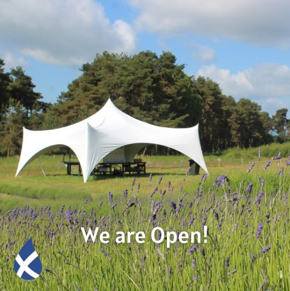 We're Now Open!