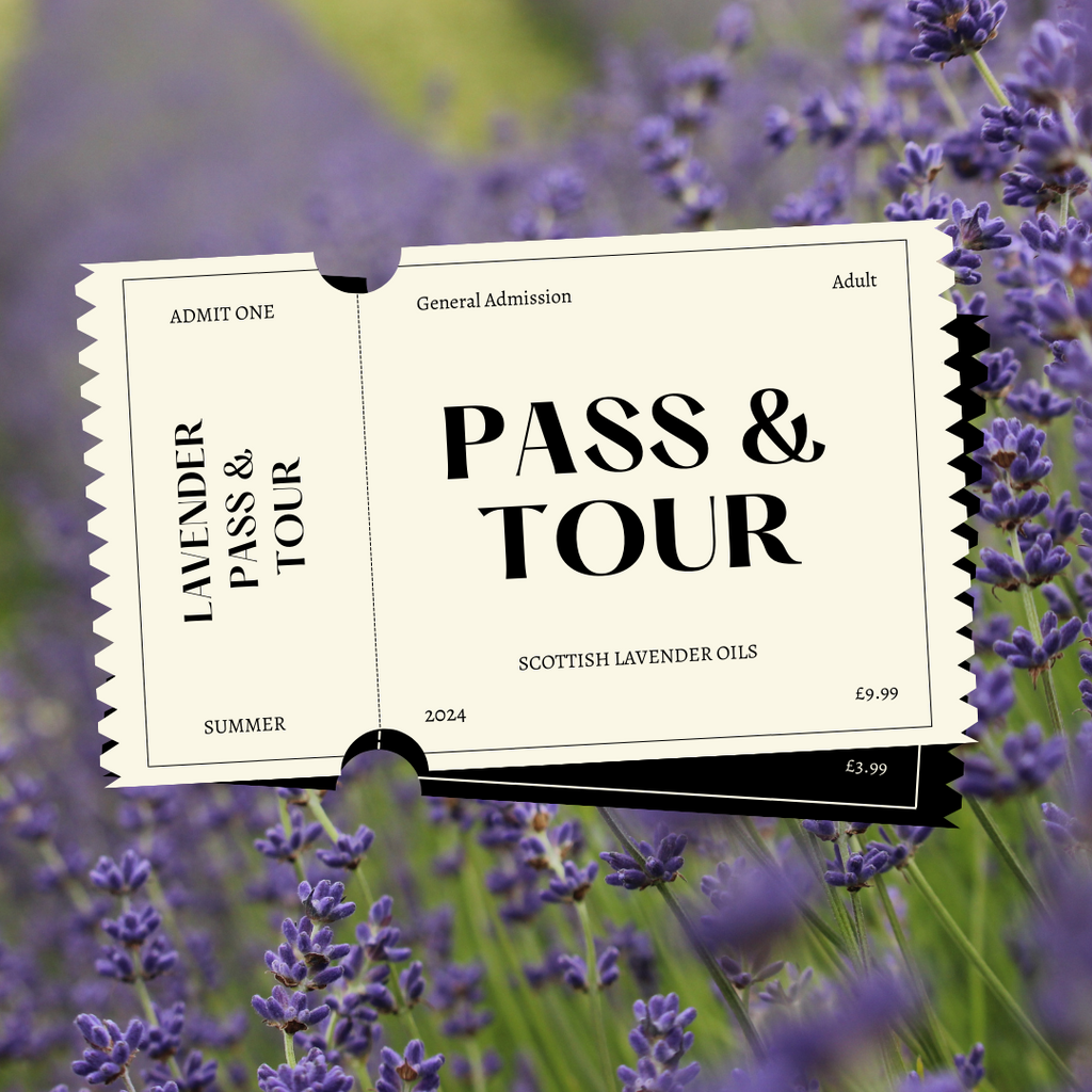 2024 - Pass and Tour