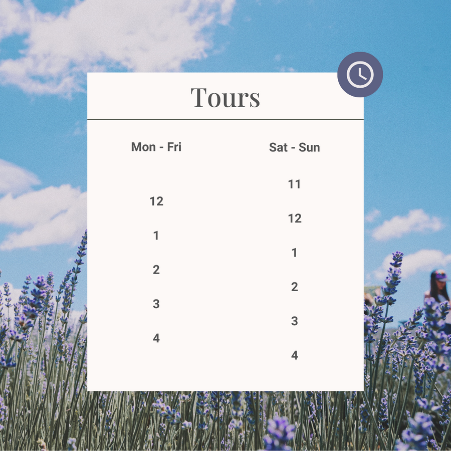 Pass & Tour