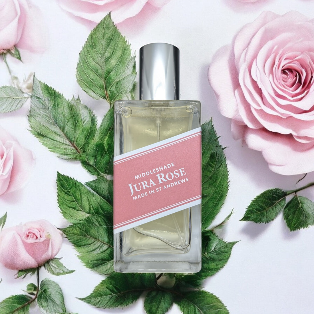 Jura Rose